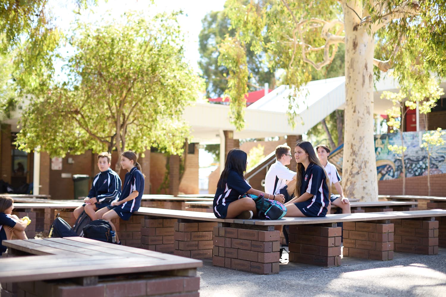 Greenwood College - foto 10