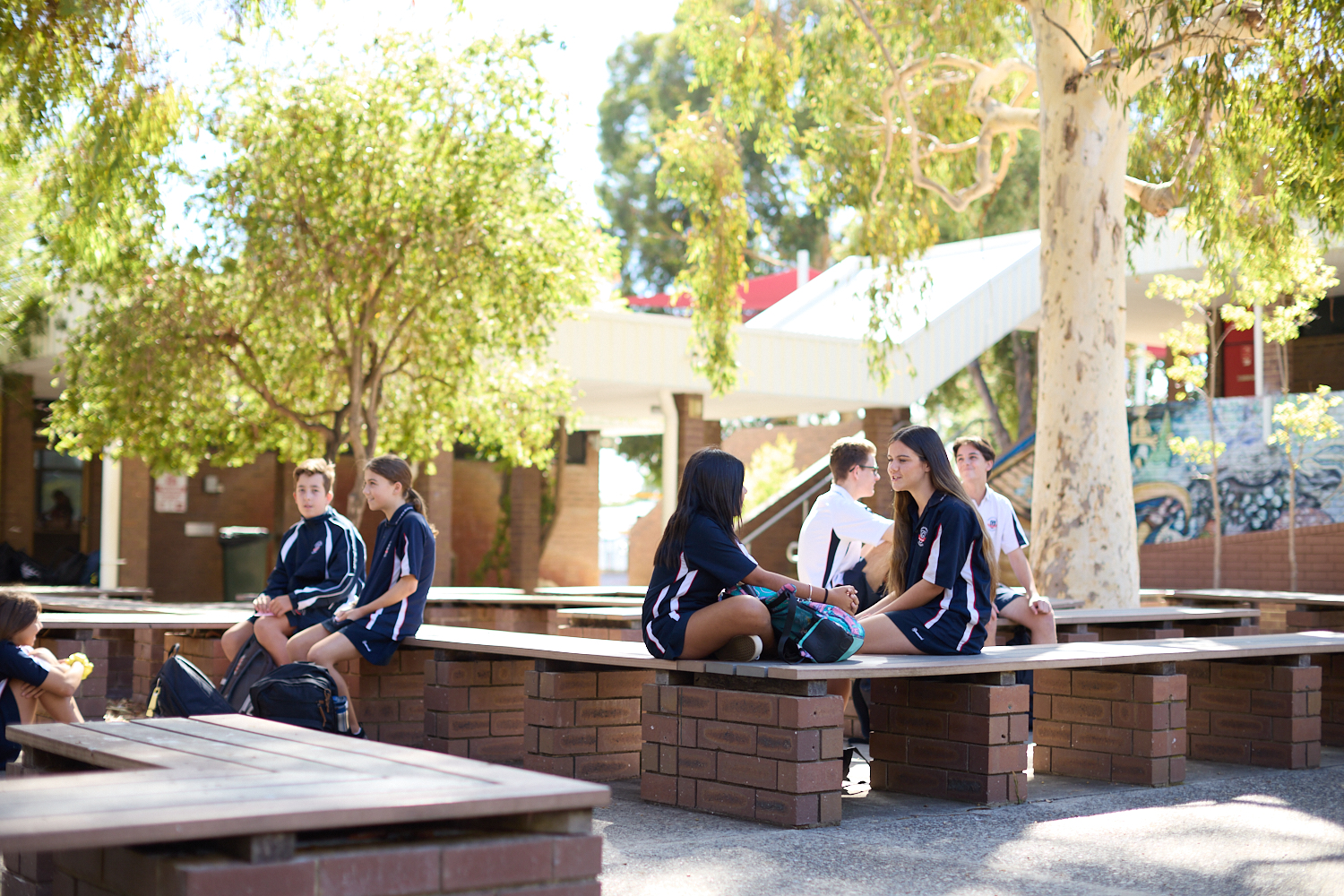 Greenwood College - foto 10