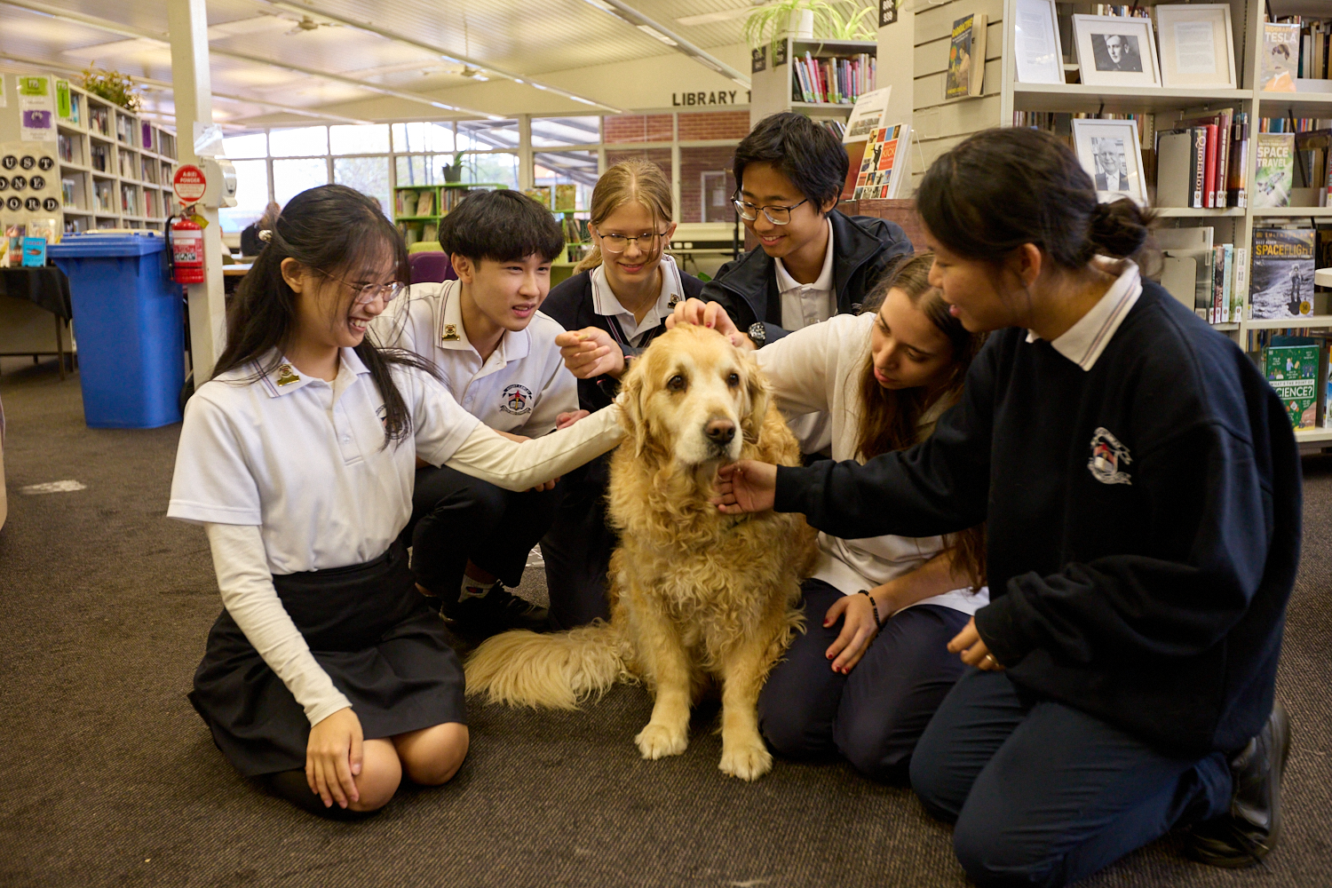 Mount Lawley Senior High School - foto 1